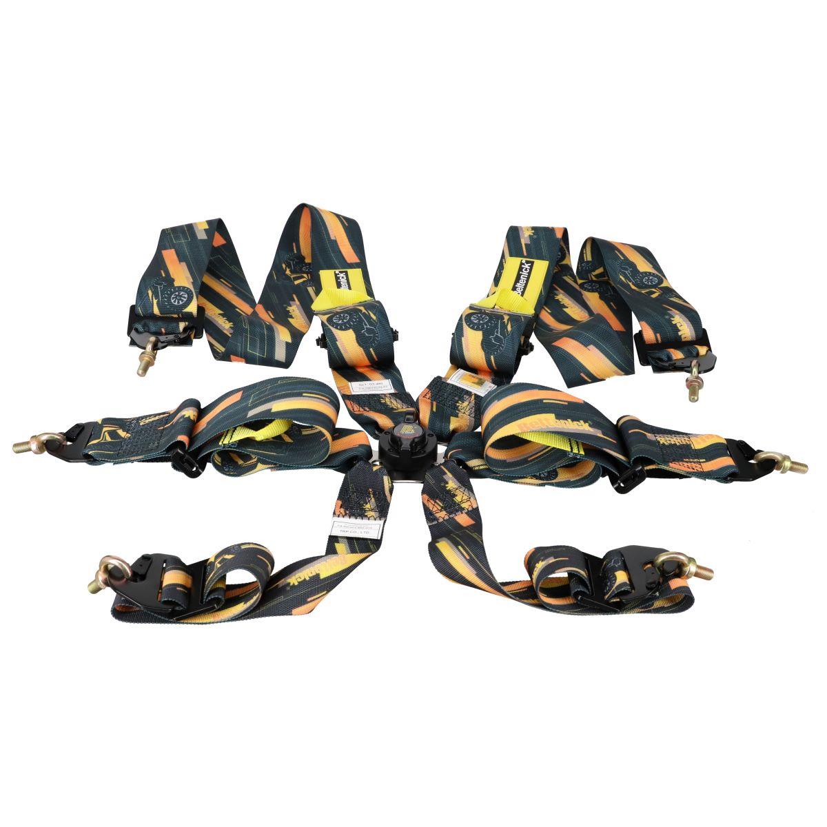 Beltenick 6-Punkt Gurt Tourenwagen