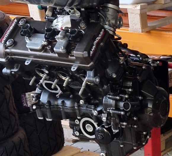 Motorrevision Yamaha MT09  RN29/RN43