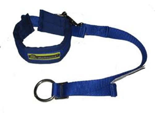 Beltenick Arm Restraints blau