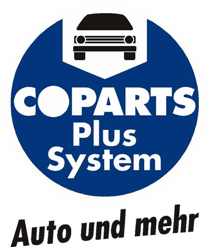 Car 1-Glassockel Glühl. 12V 5W W2,1x9,5D