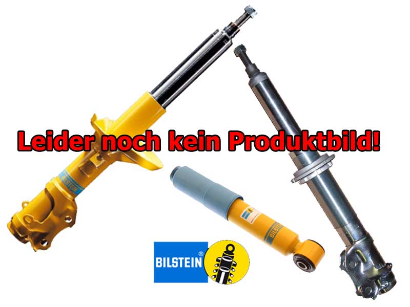 Bilstein Stoßdämpfer Dodge Pickup 2WD 350  HA B6 4600