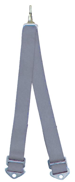 Beltenick 6-Punkt Schrittgurt Gurt NASCAR silber